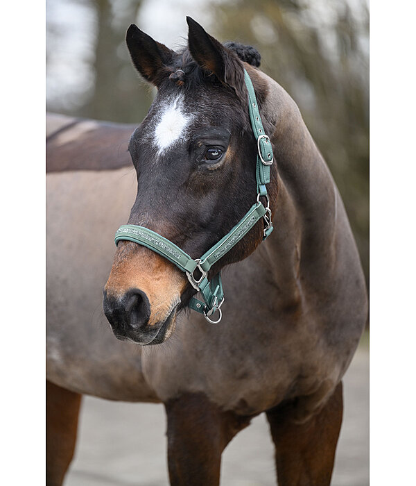 Headcollar Glitter Stone