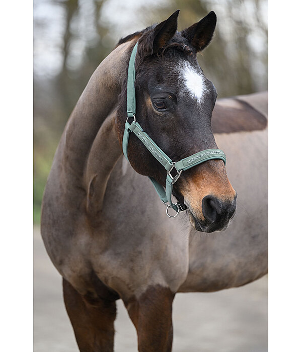 Headcollar Glitter Stone