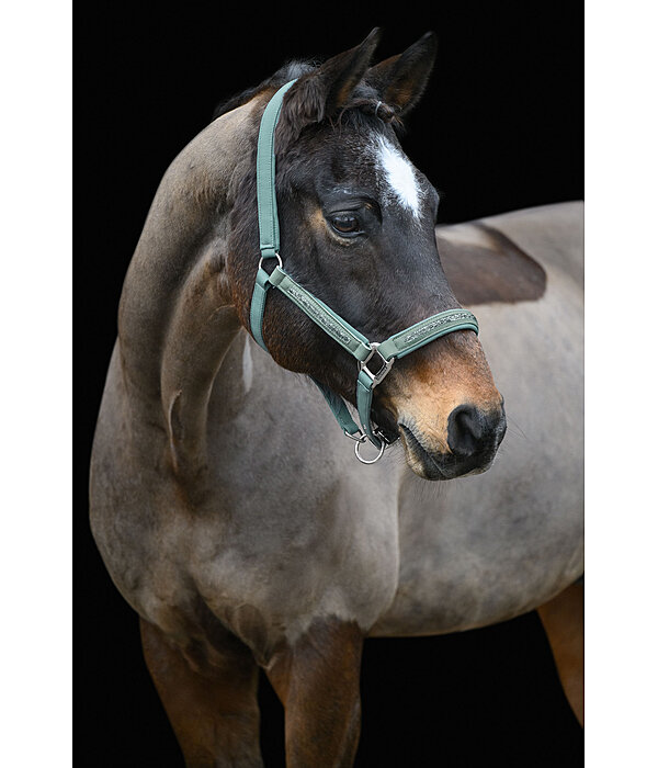Headcollar Glitter Stone
