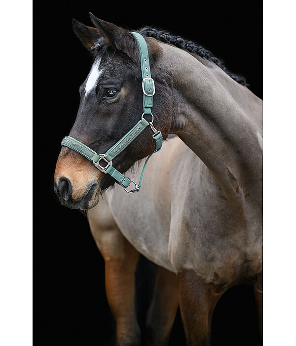 Headcollar Glitter Stone