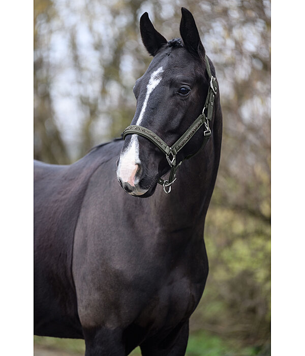 Headcollar Glitter Stone