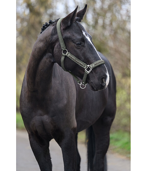 Headcollar Glitter Stone