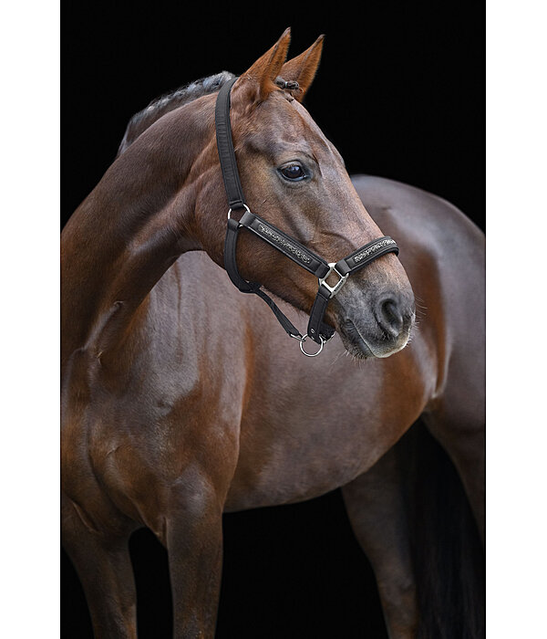 Headcollar Glitter Stone
