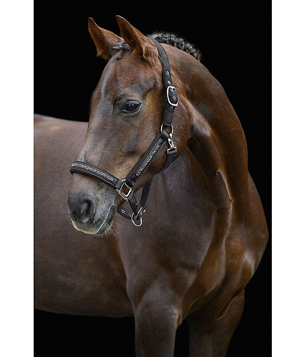 Headcollar Glitter Stone