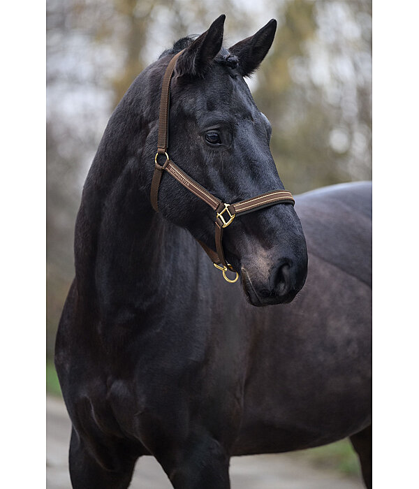 Headcollar Glimmering