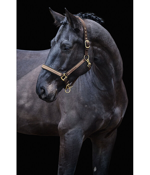 Headcollar Glimmering