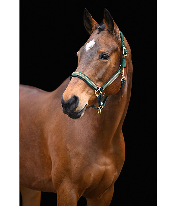 Headcollar Glimmering