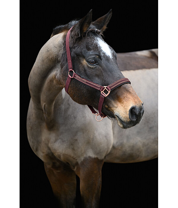 Headcollar Glimmering