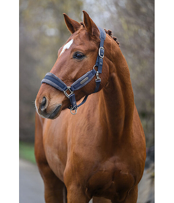 Headcollar Velvet
