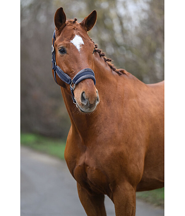 Headcollar Velvet