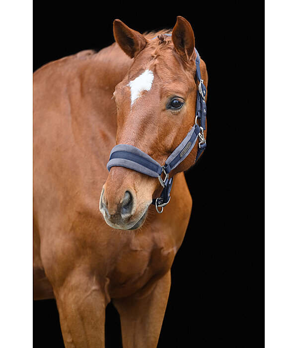 Headcollar Velvet