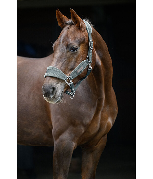 Headcollar Velvet
