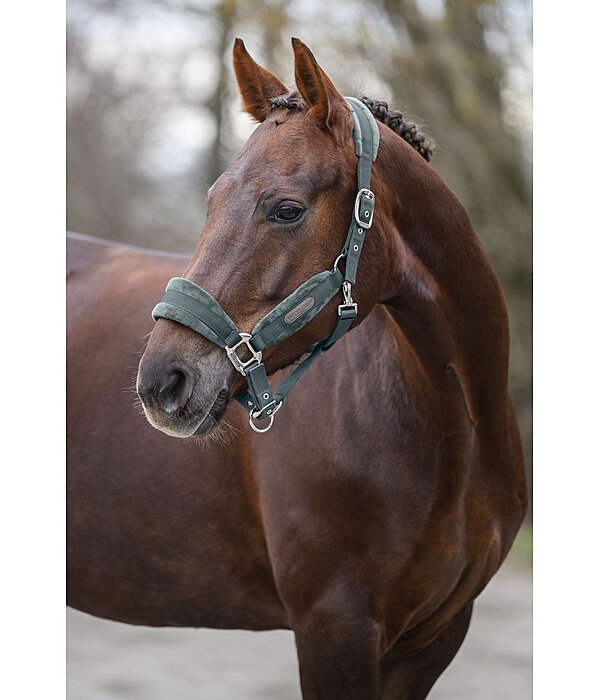 Headcollar Velvet