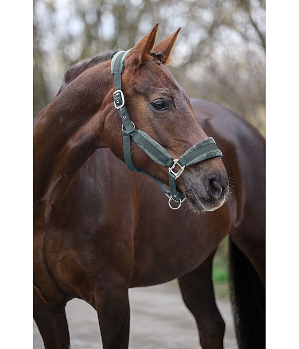 Headcollar Velvet