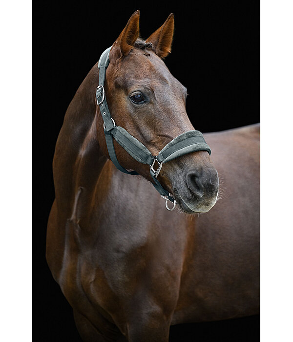 Headcollar Velvet
