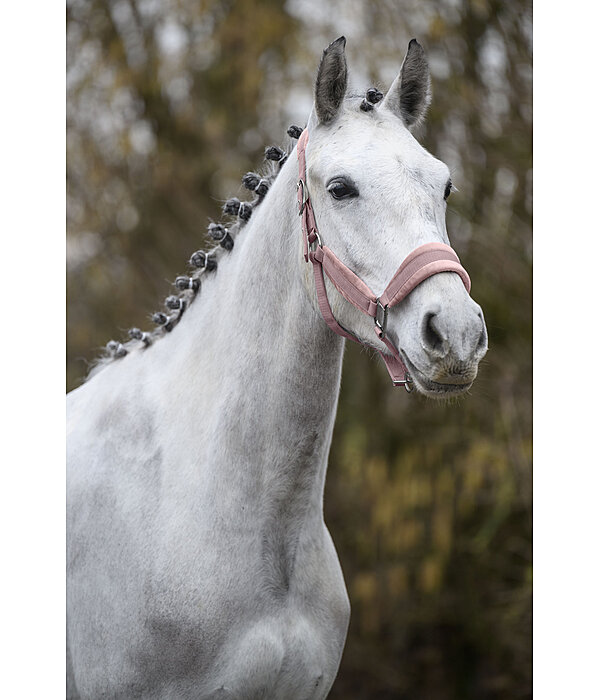 Headcollar Velvet