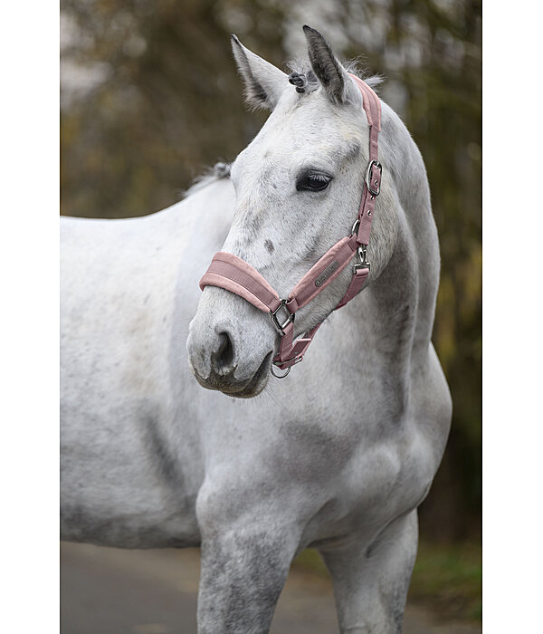 Headcollar Velvet