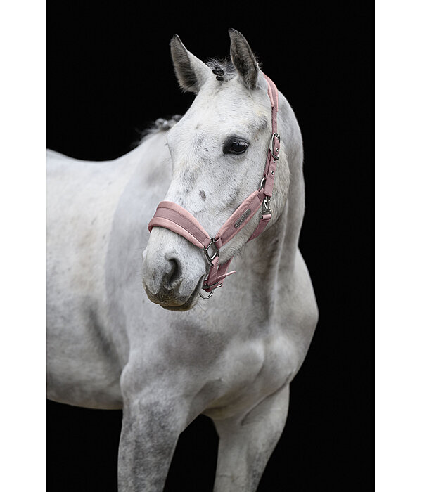 Headcollar Velvet