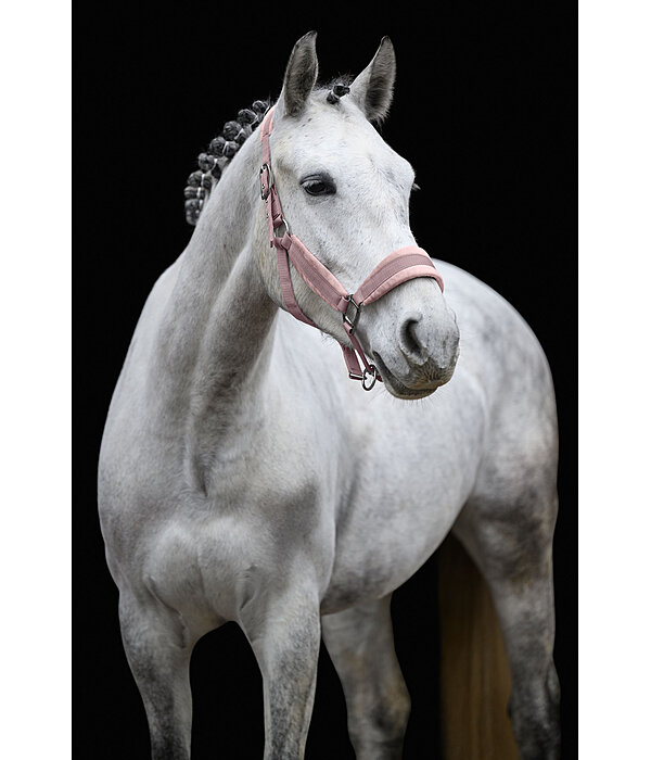 Headcollar Velvet