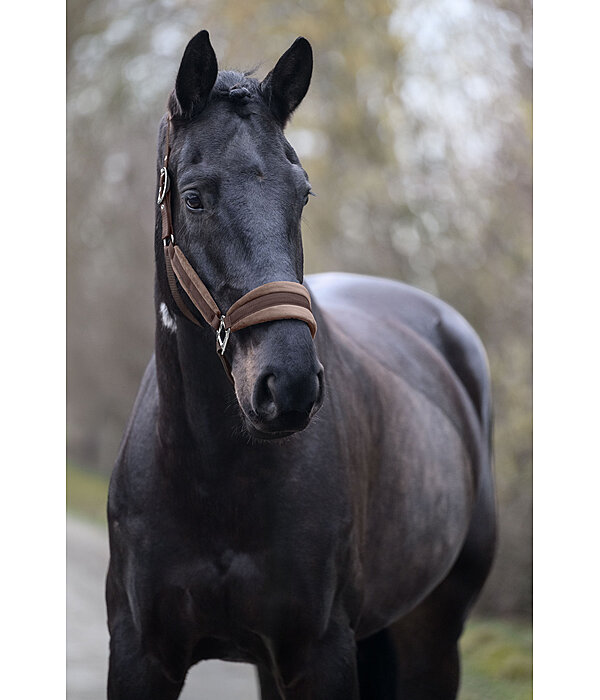 Headcollar Velvet