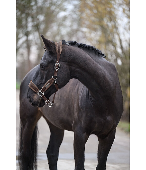 Headcollar Velvet