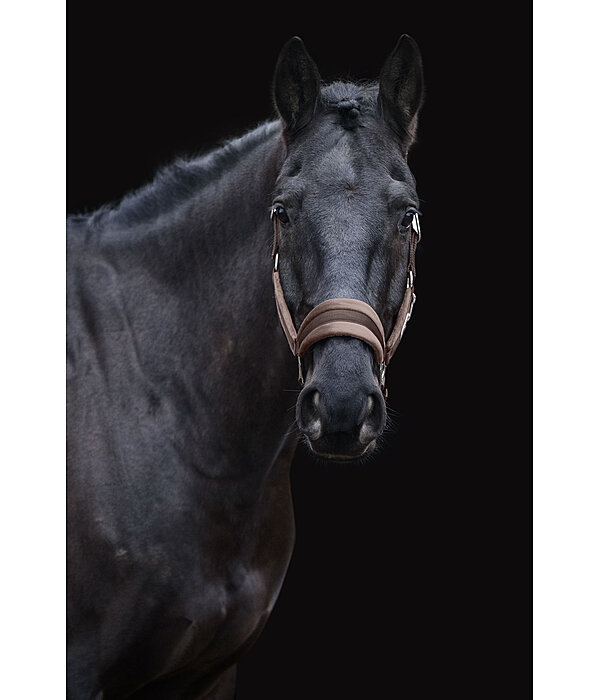 Headcollar Velvet