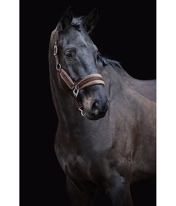 Headcollar Velvet