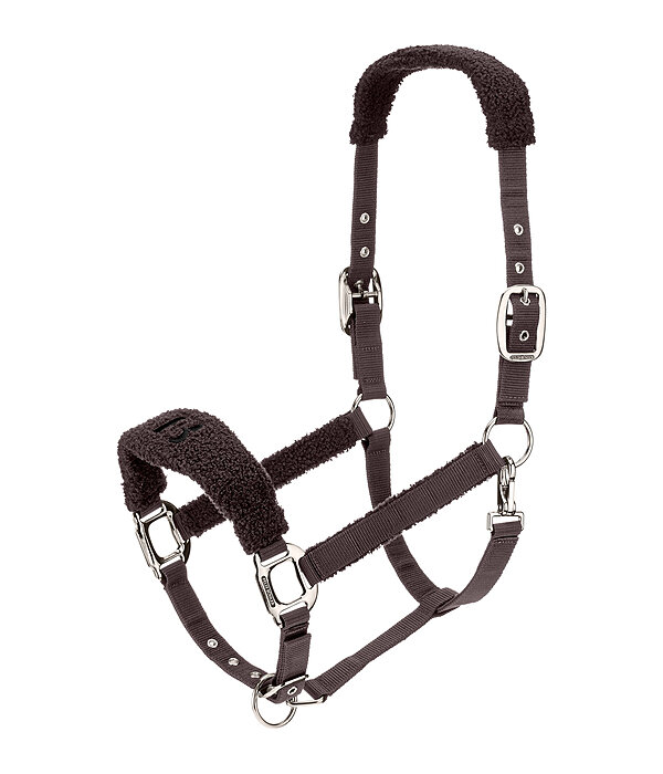 Teddy Headcollar