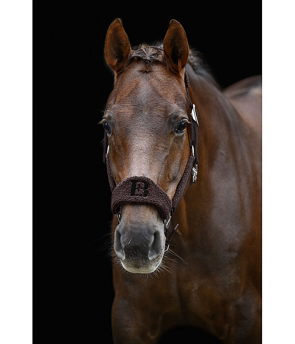Teddy Headcollar