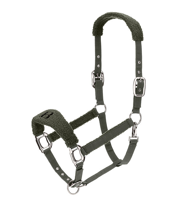 Teddy Headcollar