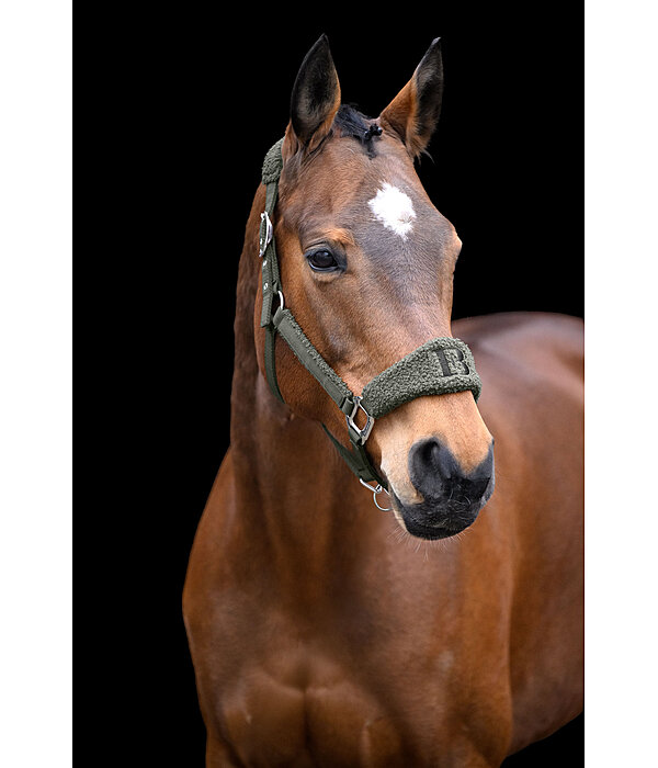Teddy Headcollar