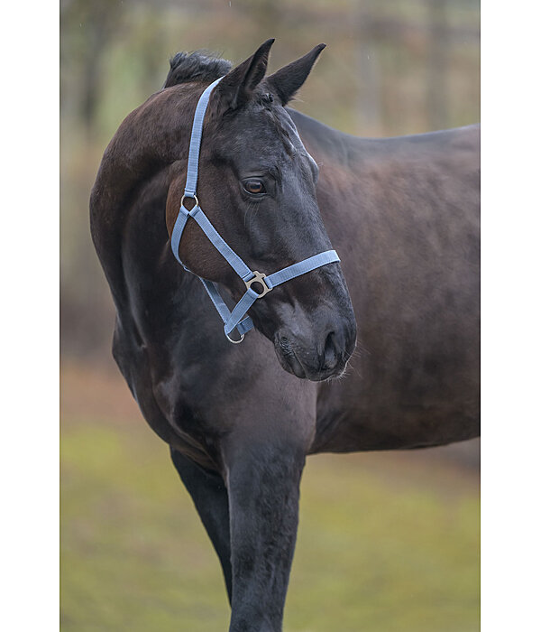 Headcollar Super Price