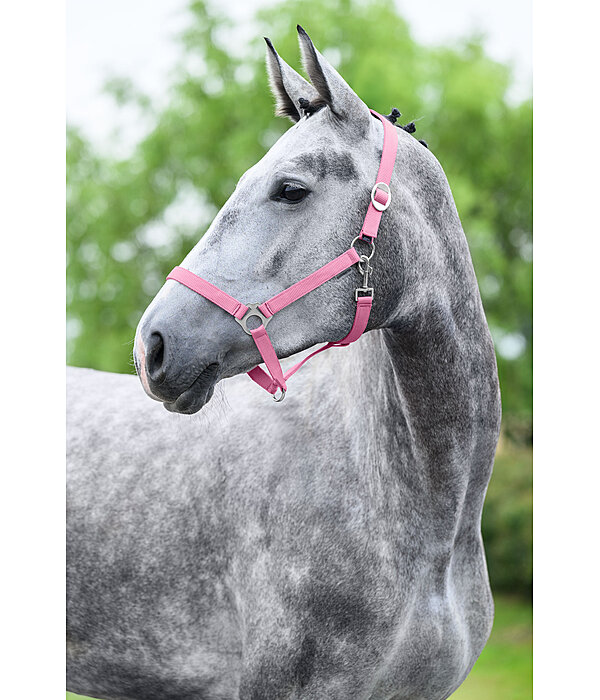 Headcollar Super Price