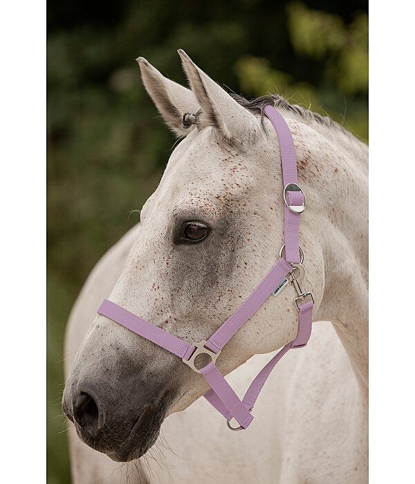 Headcollar Super Price