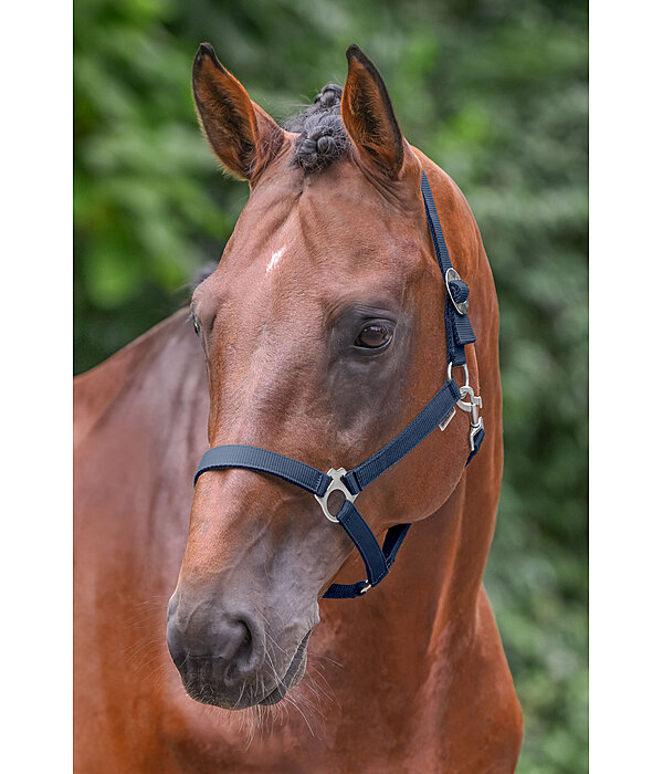 Headcollar Super Price