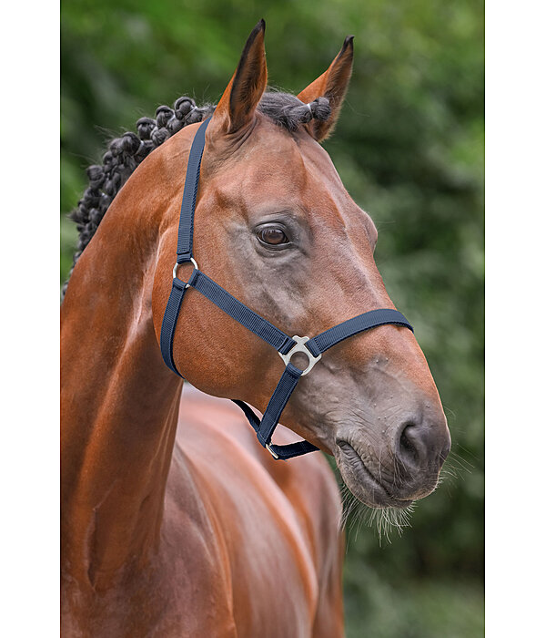 Headcollar Super Price