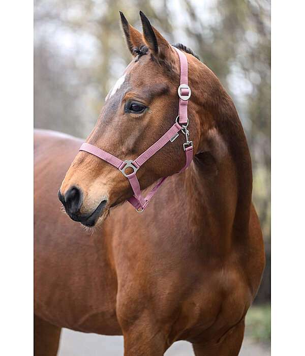 Headcollar Super Price