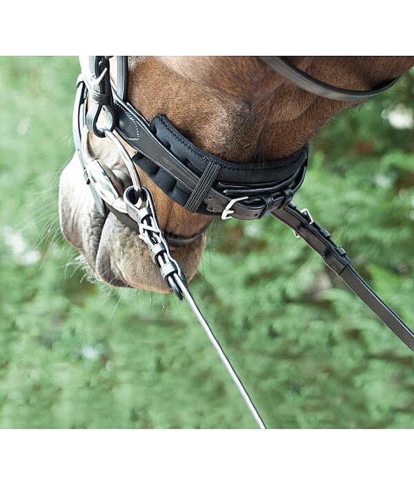 Bridle Padding