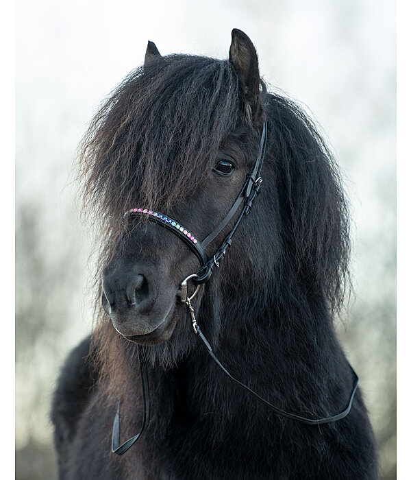 Icelandic Anti-Slip Reins