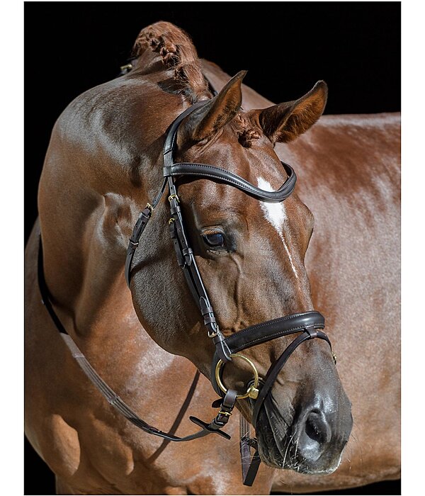 Flash Bridle Soft Comfort