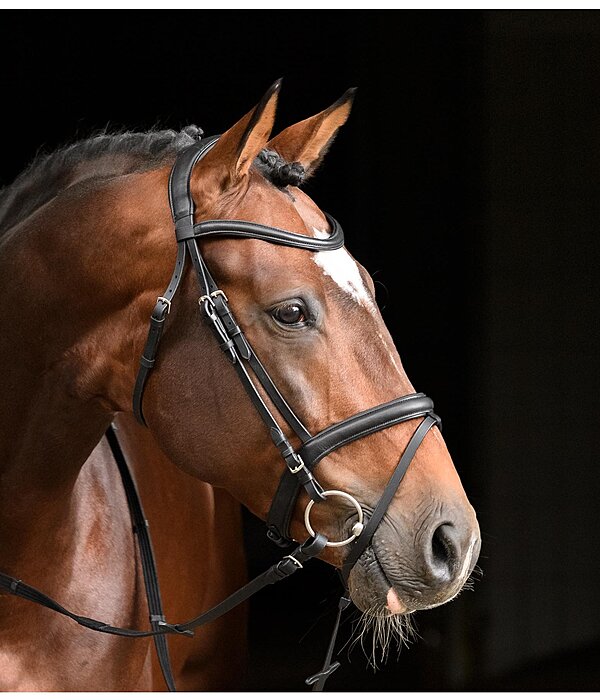 Flash Bridle Soft Comfort