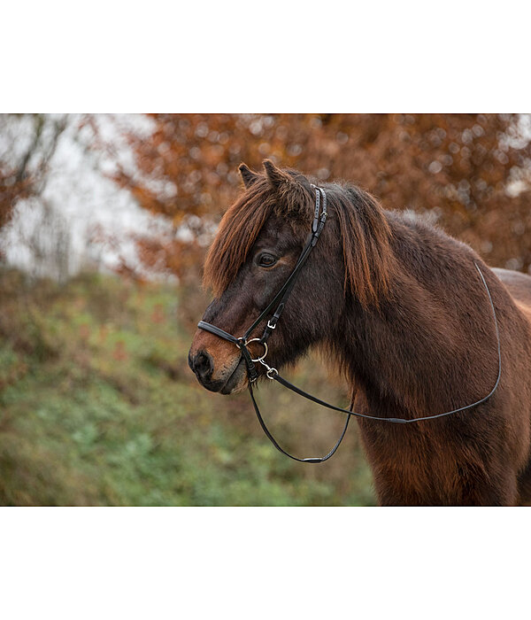 Drop Noseband Garri