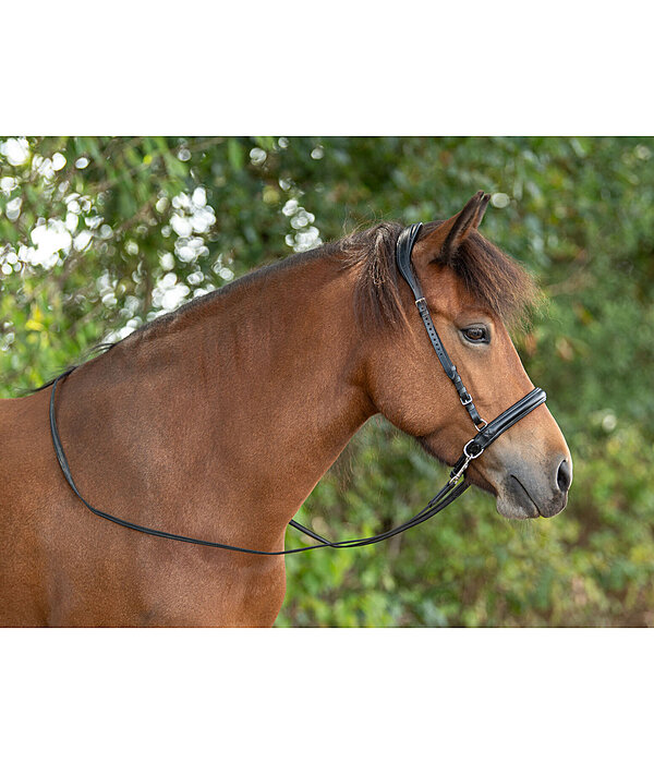 Sidepull Noseband