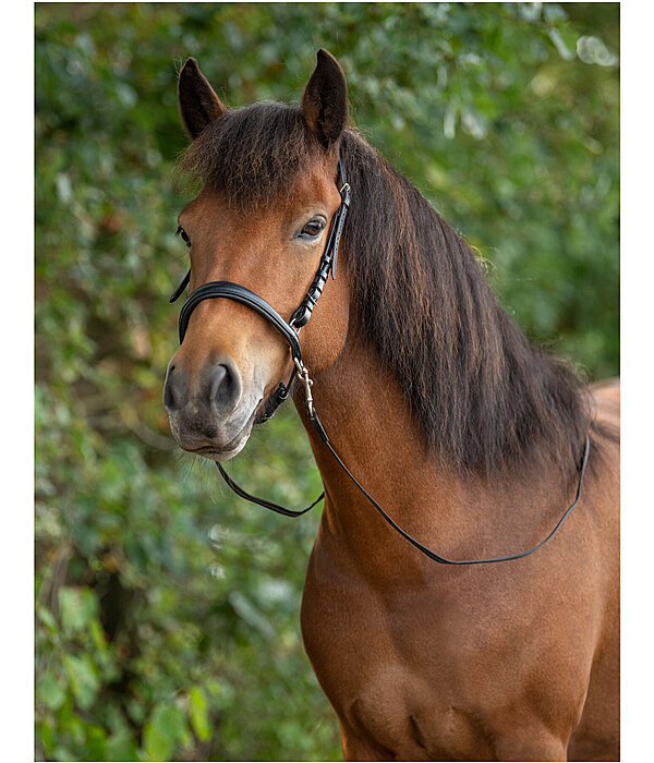 Sidepull Noseband