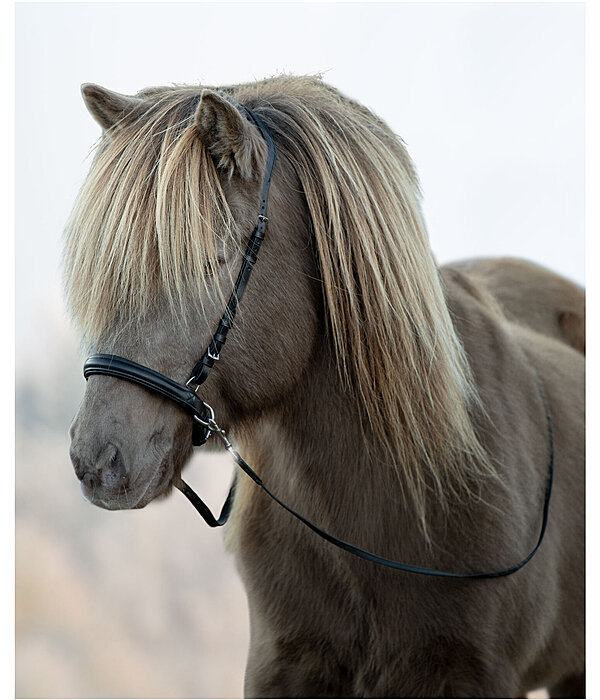 Sidepull Noseband