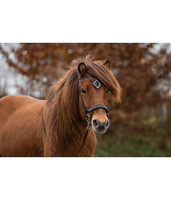 Browband Glitbr