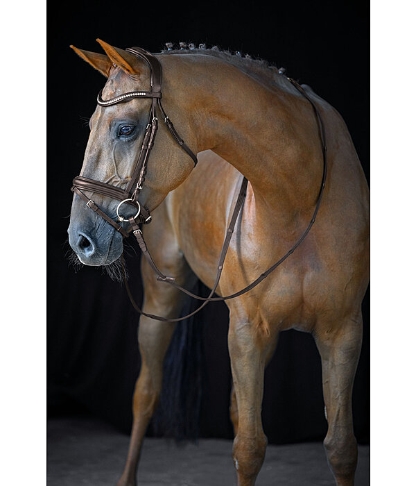 Flash Bridle Marley