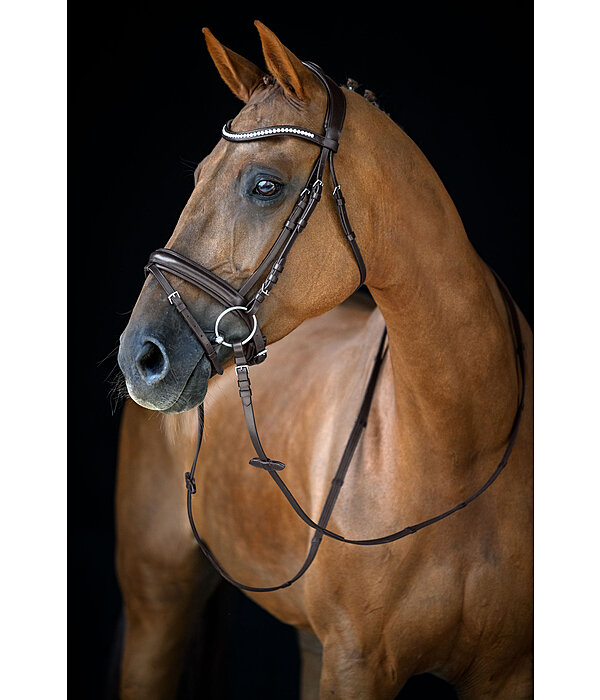 Flash Bridle Marley