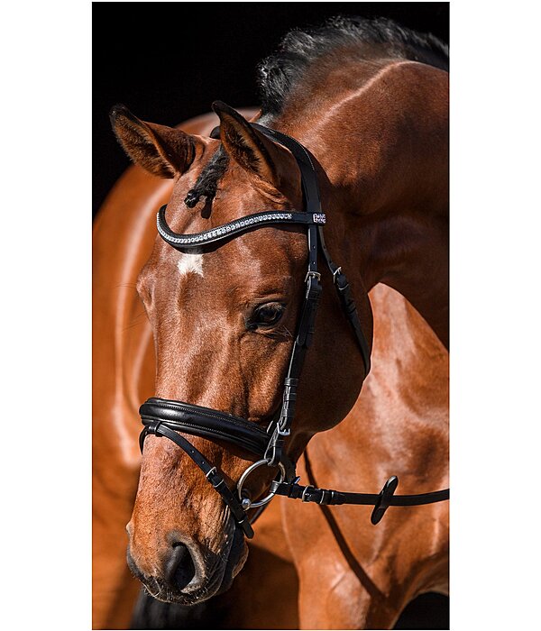 Flash Bridle Marley