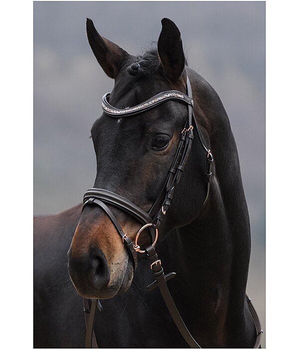 Flash Bridle Rosalinde